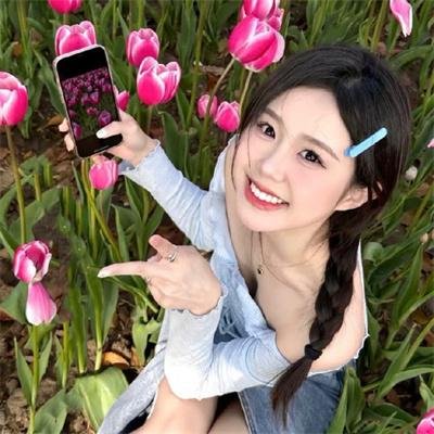 九辫妖狐